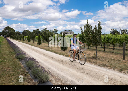 Woman on cycling trip around the vineyards and wineries of Martinborough, New Zealand. Stock Photo