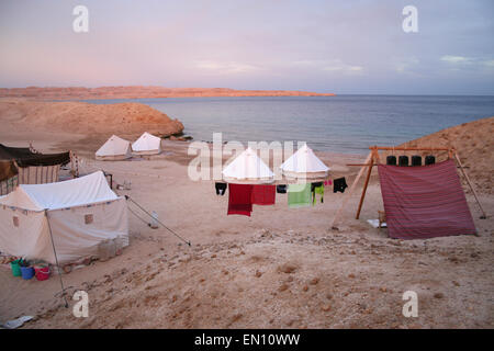 View of a campsite in the pink glow of sunset behind it.  Tents are pitched on the beach on the coast of the Red Sea. Stock Photo