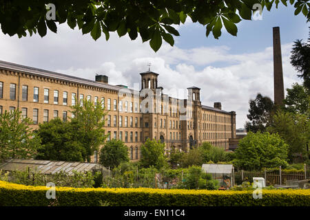 UK, England, Yorkshire, Bradford, Saltaire, allotment gardens in front of Salt’s Mill Stock Photo