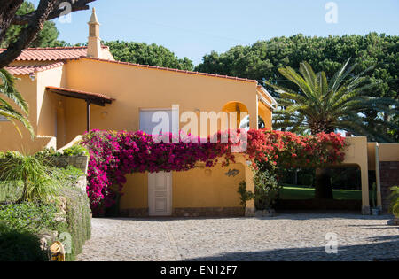 big villa in portugal with bougainvillea flowers and palmtree next to the house Stock Photo