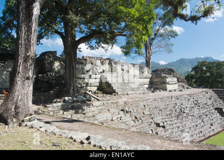 Ancient Mayan acropolis, Copan, Honduras Stock Photo