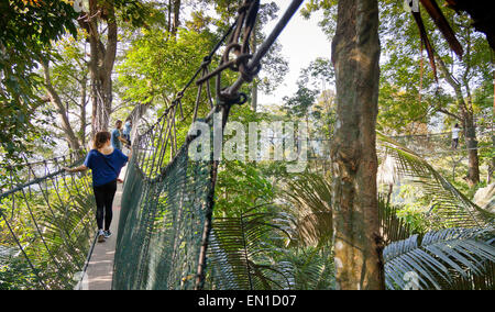 Forest canopy walkway, FRIM Bukit Lagong Forest Reserve, Kepong, Malaysia Stock Photo