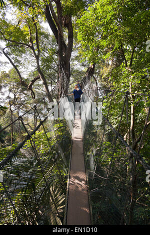 Forest canopy walkway, FRIM Bukit Lagong Forest Reserve, Kepong, Malaysia Stock Photo