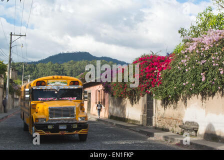 Chicken bus traveling along bougainvillea lined street, La Antigua, Guatemala, UNESCO