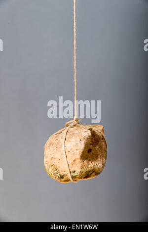 Stone hanging by a string. A stone tied to a rope Stock Photo - Alamy