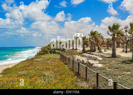 View on promenade with palms along Mediterranean sea coastline in Ashqelon, Israel. Stock Photo