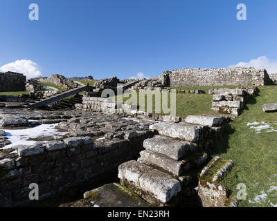 The remains of the fort at Housesteads ( Vercovicium ) along Hadrian's Wall, Northumberland National Park, UK Stock Photo