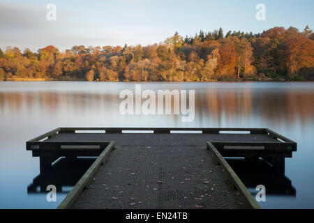 Trees next to a lake in the colours of Autumn. Stock Photo