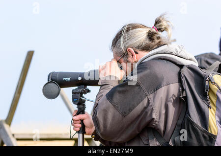 Bejershamn, Sweden - April 25, 2015: Unknown male birdwatcher using spotting scope to find interesting birds to watch. Person seen from side and behind from waist up. Bejershamn is a protected wildlife reserve known for its birdlife. Stock Photo