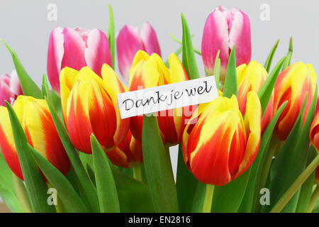 Dank je wel (which means thank you in Dutch) card with colorful tulips Stock Photo