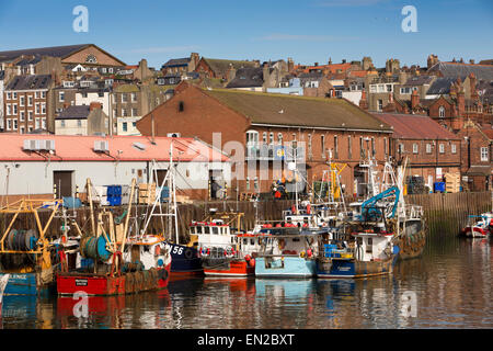 UK, England, Yorkshire, Scarborough, Old Harbour, fishing boats moored at West Pier Stock Photo