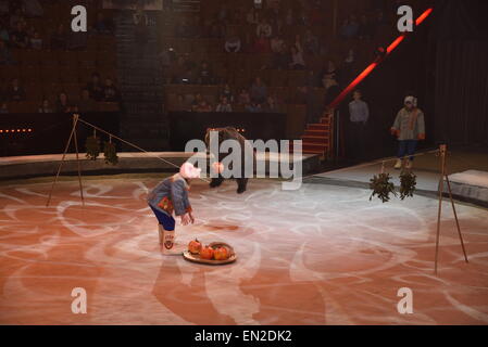 An animal trainer and bear in a circus routine for the Moscow Circus in Moscow, Russia, 04 April 2015. Photo: ULF MAUDER/dpa - NO WIRE SERVICE - Stock Photo