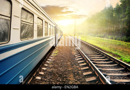 Train moving through the pine forest at sunset Stock Photo