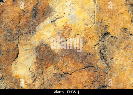 Stone Texture Series Stock Photo