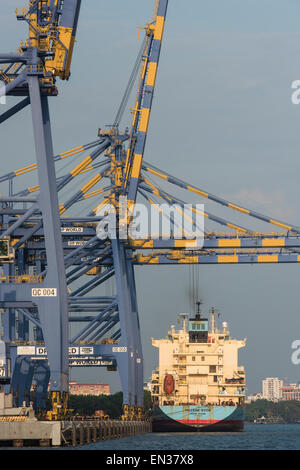 Container ship of Maersk Line, cranes, International Container Transshipment Terminal ICTT, Vallarpadam Terminal, Kochi, Kerala Stock Photo