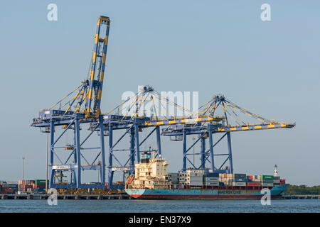 Container ship of Maersk Line, cranes, International Container Transshipment Terminal ICTT, Vallarpadam Terminal, Kochi, Kerala Stock Photo