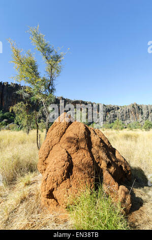 Termite Mound, Windjana Gorge, Kimberley, Western Australia Stock Photo