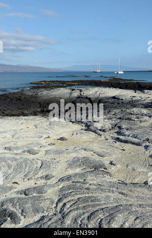 Sailboats anchored off the rocks at Punta Espinosa, Fernandina Island, Galapagos Islands, Ecuador Stock Photo