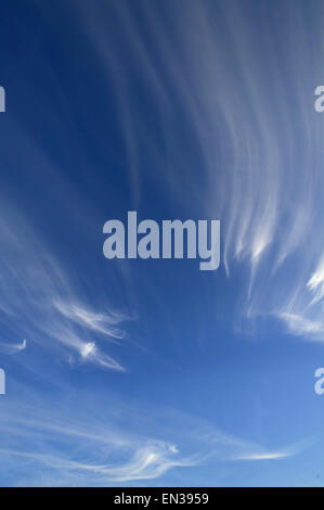 Cirrus clouds, Cirrus, in the blue sky Stock Photo
