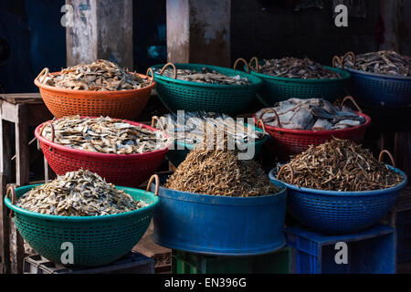 Different types of dried fish in plastic baskets on the market, Broadway Market, Ernakulum, Kerala, India Stock Photo
