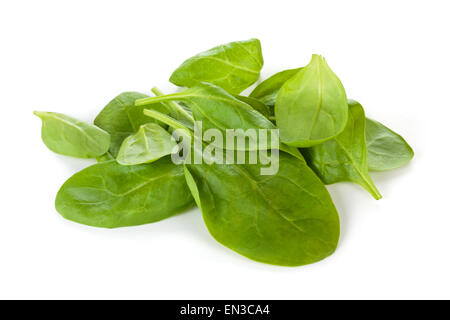 Baby spinach. Stock Photo