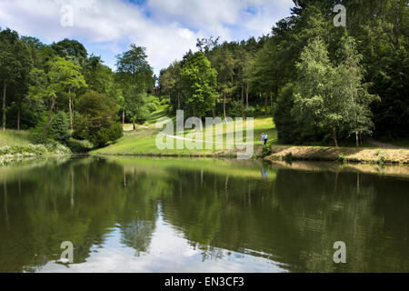 UK, England, Somerset, Cheddon Fitzpaine, Hestercombe Gardens, woodland gardens across the Pear Pond Stock Photo