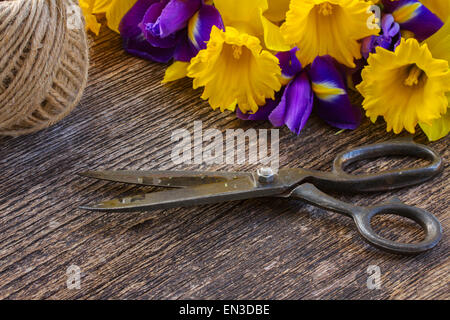 easter daffodils and irise Stock Photo