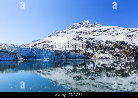 Lamplugh glacier in the Glacier Bay national park. Alaska Stock Photo