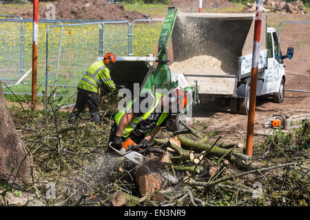 Bristol, UK. 27th Apr, 2015. An old oak tree, that was occupied by protesters for several weeks before they were evicted, is felled as they watch from behind a security fence. Belinda Faulkes of Rising Up, the group who tried to protect the green-field site, described it as a 'sad day'. This part of Metrobus development has been controversial in a year that Bristol is the European Green Capital. Bristol, UK. 27th April 2015. Credit:  Redorbital Photography/Ģ����ý Live News Stock Photo