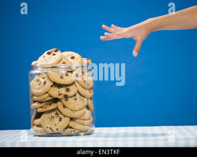 Hand reaching for chocolate chip cookie jar Stock Photo