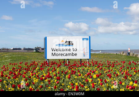 Red and Yellow Tulips in Front of a Welcome to Morecambe Sign on a Sunny Spring Day Lancashire England UK Stock Photo