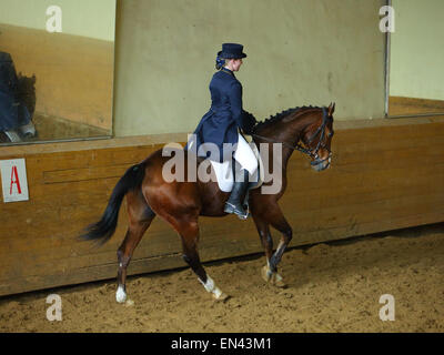 Dressage Horse and woman rider in indoor riding hall Stock Photo
