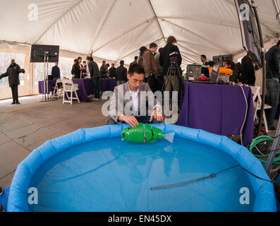 Ph.D candidate Paul Phamduy's adjusts his robotic fish, built in collaboration with other students, in a pool of water at NYU-Polytechnic School of Engineering's Research Expo in Brooklyn's "Tech Triangle" in New York on Friday, April 24, 2015. Over forty research projects and their creators will exhibit and explain their research including cutting-edge robotics, engineering and biotechnology.  (© Richard B. Levine) Stock Photo