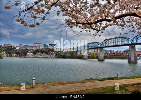 Chattanooga, Tennessee, USA, with Walnut Street Bridge and Hunter Museum on Bluff View. Stock Photo