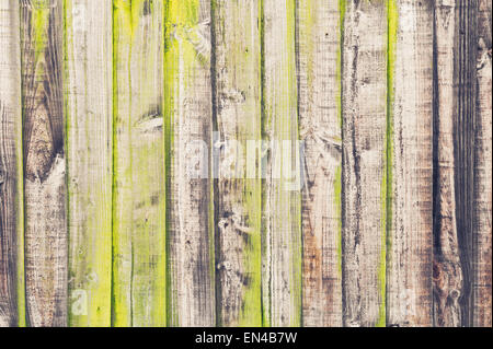 Weathered fence panels with lichen on them as a background image Stock Photo