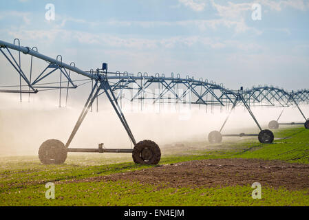 Automated Farming Irrigation Sprinklers System in Operation on Cultivated Agricultural Field Stock Photo