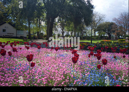 Manor Gardens, Exmouth, Devon, UK Stock Photo