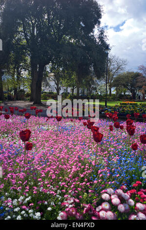 Manor Gardens, Exmouth, Devon, UK Stock Photo