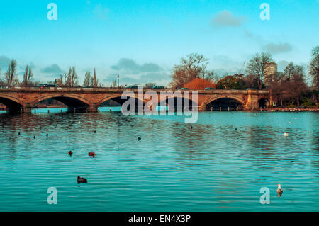 some ducks swim in the Serpentine River, with the Serpentine Bridge in the background, in Hyde Park in London, United Kingdom Stock Photo