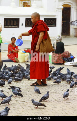 Monk in Bhaktapur temple feeding birds, Nepal Kathmandu Stock Photo