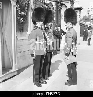 The Coldstream guards seen here being given their order before mounting the guard at Buckingham Palace 1st September 1959 Stock Photo