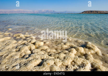 Salt on the beach of the dead sea in Israel Stock Photo