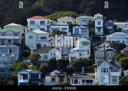 Historic Villas, Oriental Bay, Wellington, North Island, New Zealand Stock Photo