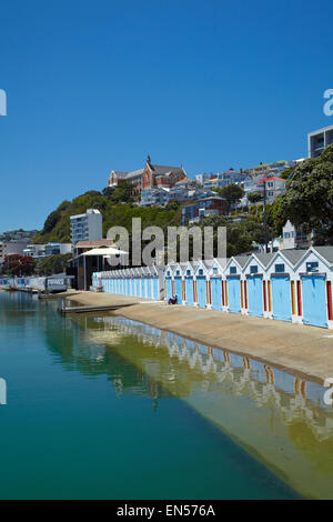 Boatsheds, Clyde Quay Marina, Wellington, North Island, New Zealand Stock Photo