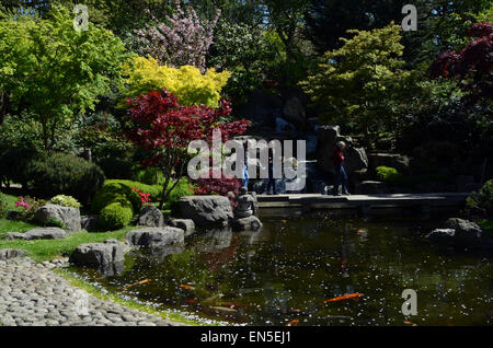 London, UK. 28th April, 2015. cold front and rain approach but London still enjoys sunshine as the cherry blossoms start to fall. Credit:  JOHNNY ARMSTEAD/Alamy Live News Stock Photo