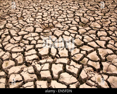 Drought  the ground cracks  no hot water  lack of moisture. Stock Photo