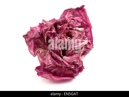 fresh red radicchio isolated on white background Stock Photo