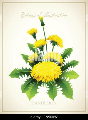 Dandelion Flower vintage vector illustration EPS 10 Stock Vector