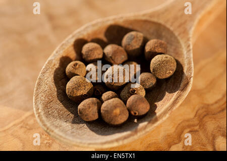 Brown dark whole allspice dry fruits Stock Photo