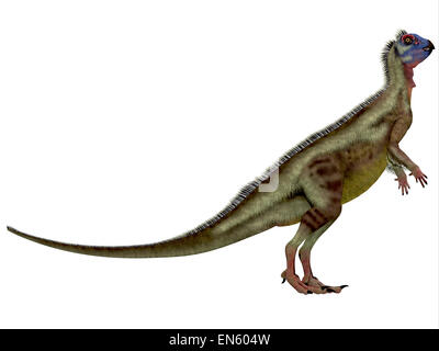 Hypsilophodon was an omnivorous dinosaur that lived in the Cretaceous Period of England. Stock Photo